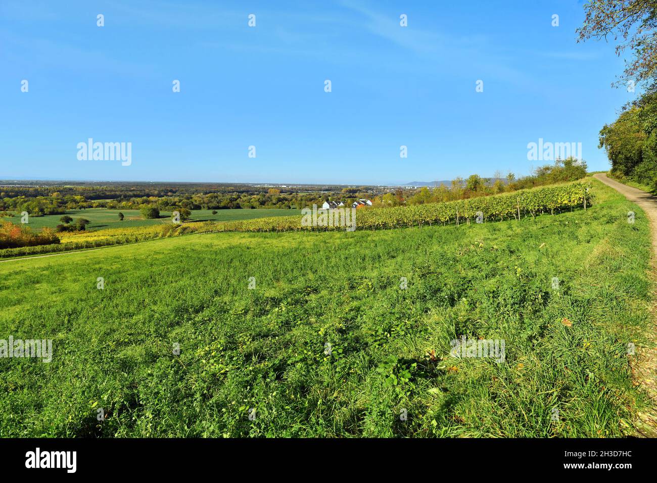 Malsch, Alemania - Octubre 2021: Región montañosa en el suroeste de Alemania llamada 'Kraichgau'. Vista desde la pequeña colina llamada ' suroeste de Alemania 'Letzenb Foto de stock