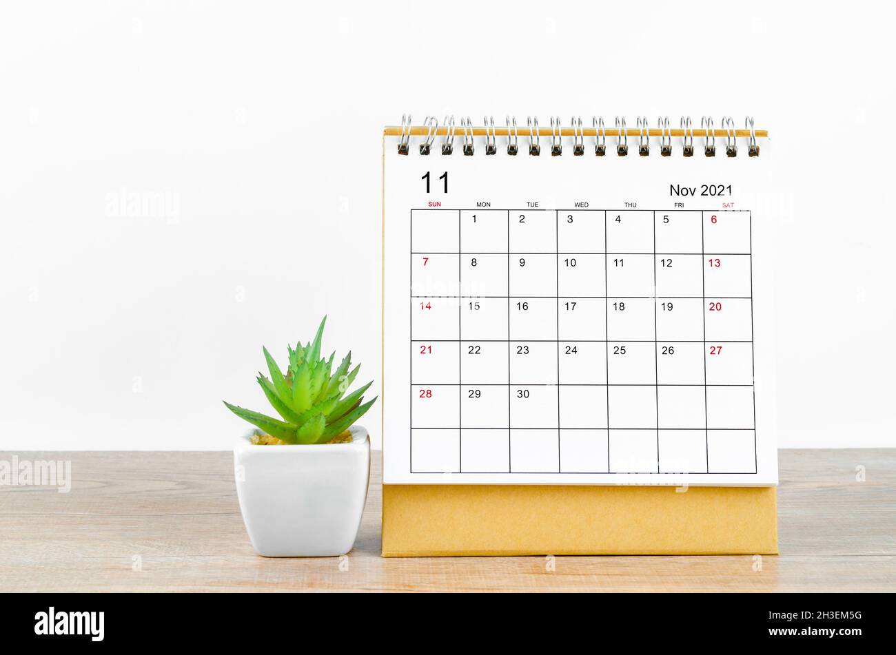 Calendario de escritorio de noviembre de 2021 con maceta de planta sobre fondo de madera. Foto de stock