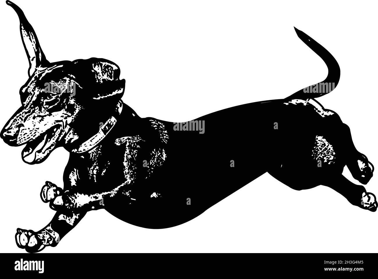 dachshund ejecutando ilustración de croquis - vector Ilustración del Vector