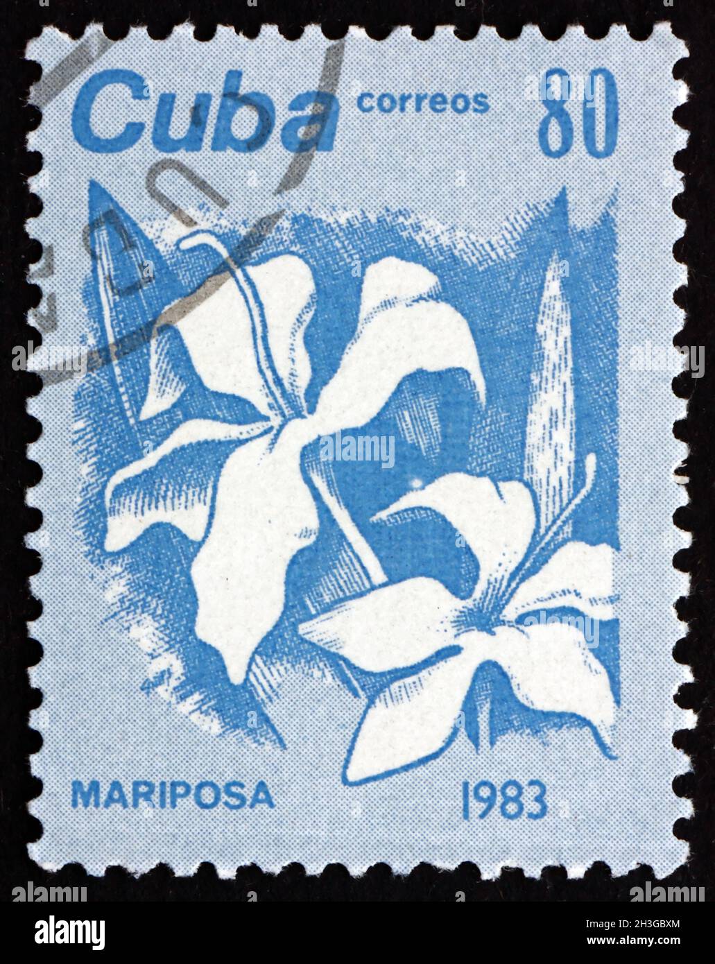 CUBA - CIRCA 1983: Un sello impreso en Cuba muestra mariposa, hedychium coronarium, es la flor nacional de Cuba, alrededor de 1983 Foto de stock