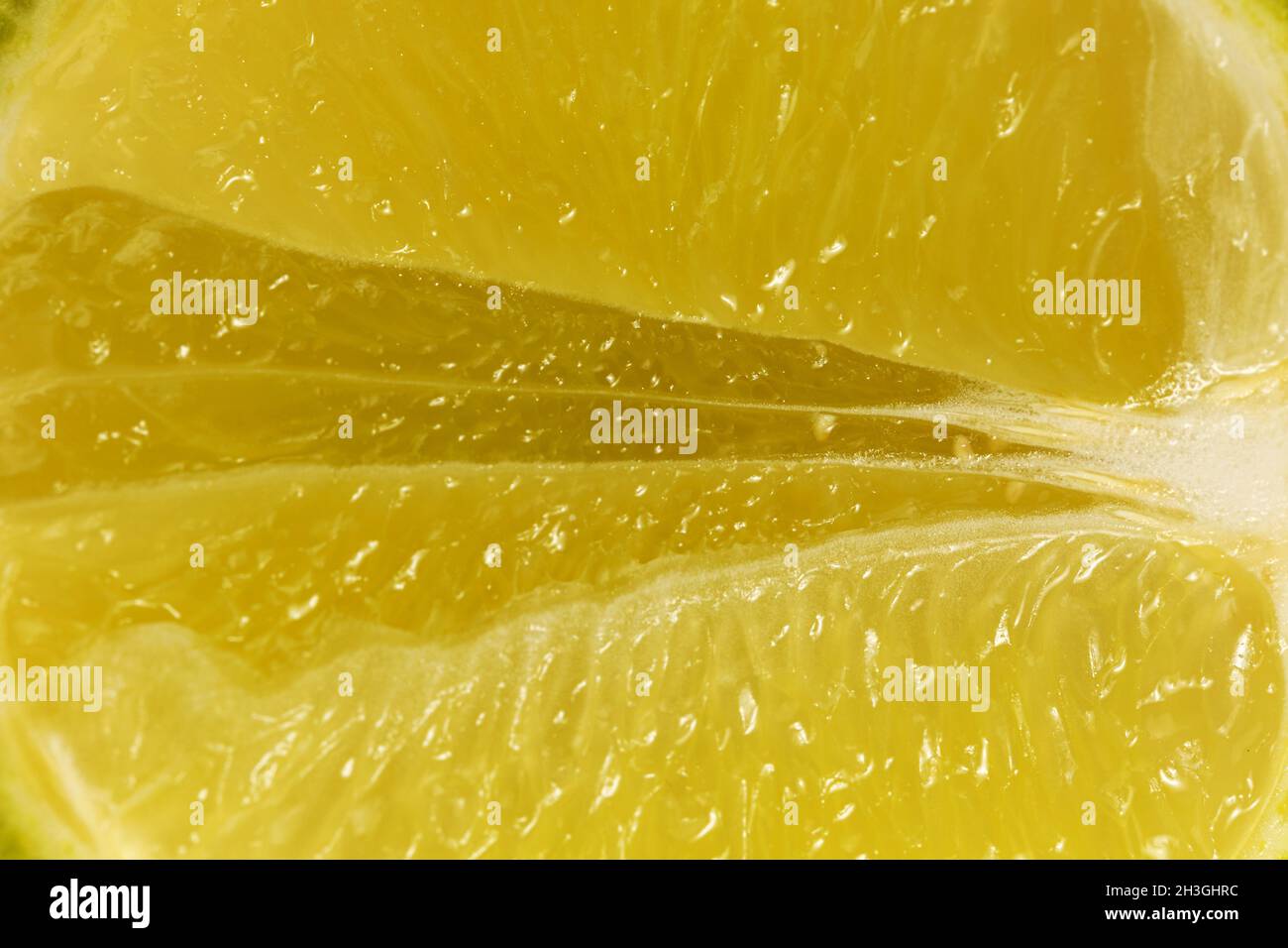 Mitad fresca madura y carnosa de limón. Textura, macro, concepto de fruta Foto de stock
