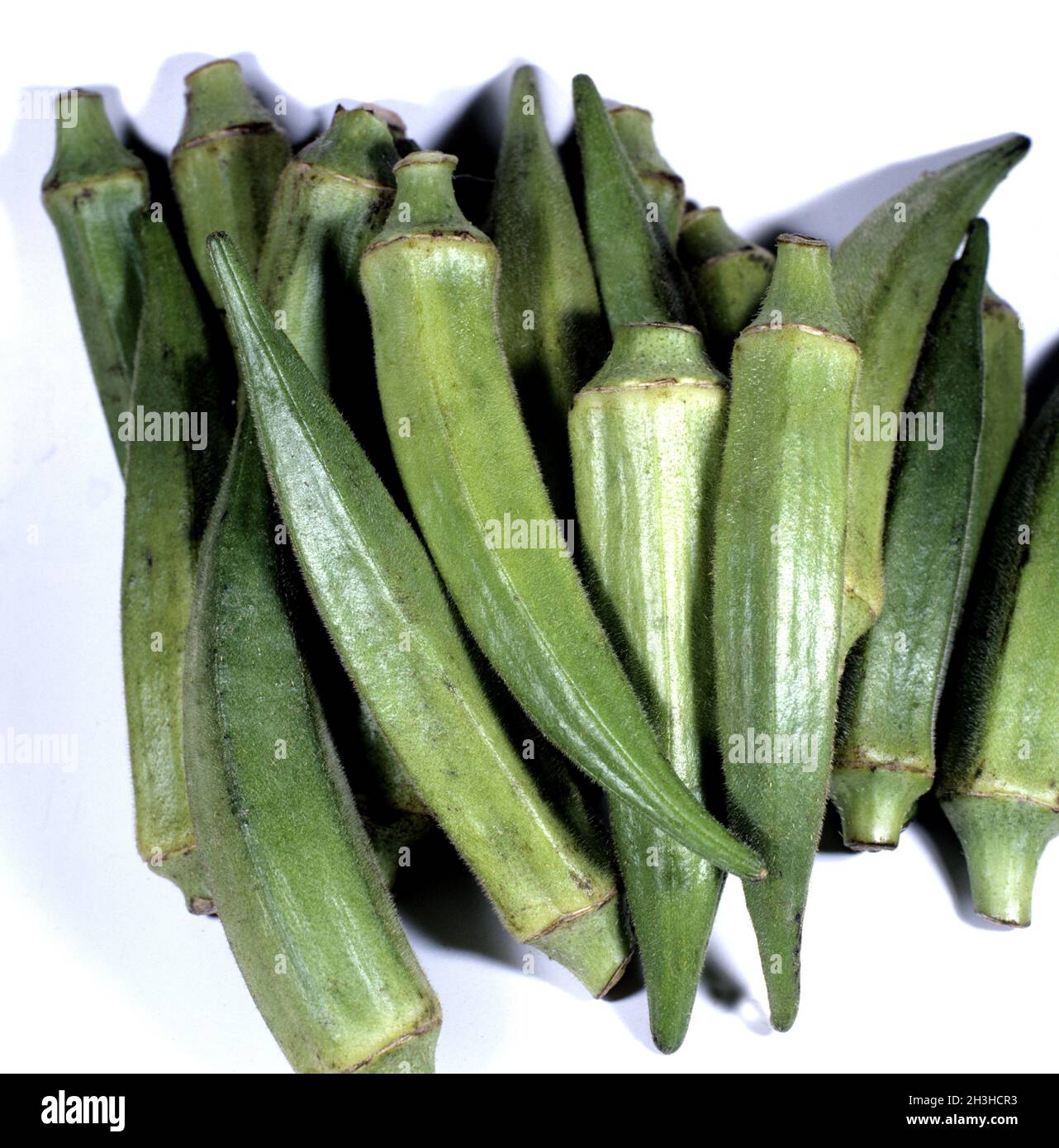 Cultivos de okra fotografías e imágenes de alta resolución Alamy