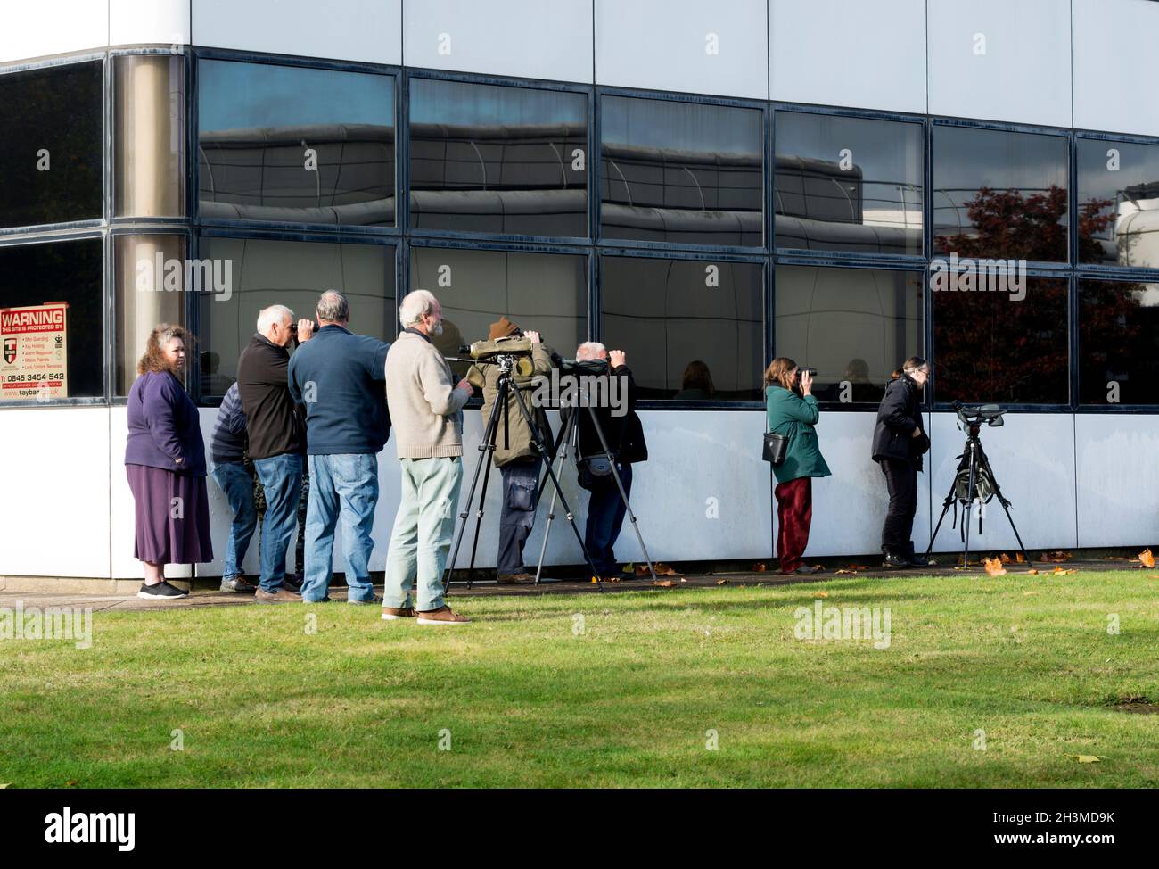 Observadores de aves Foto de stock