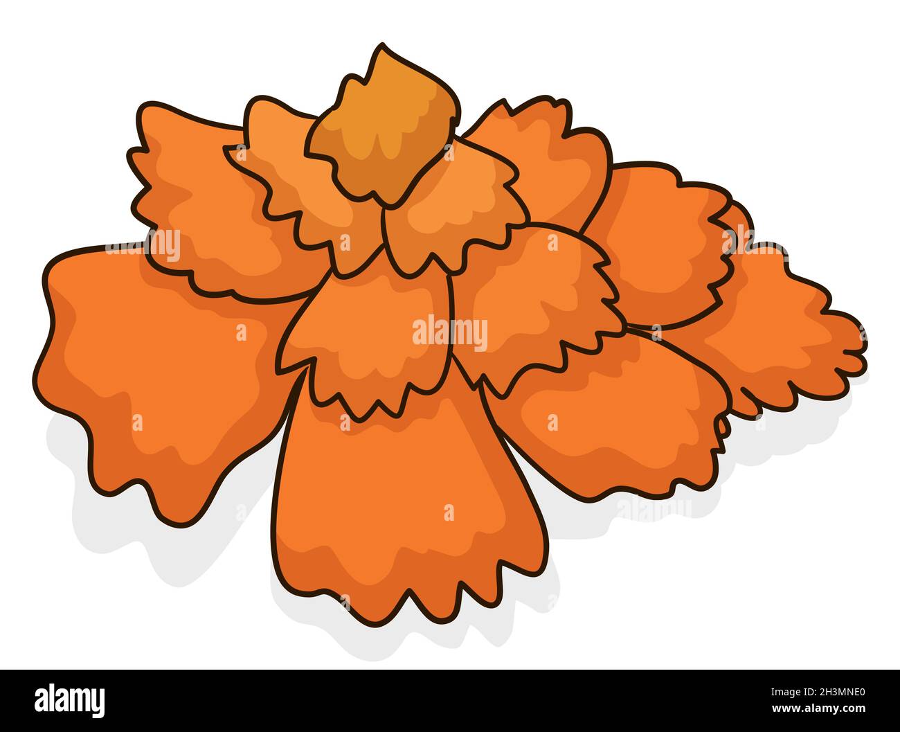 Hermosa cempasuchil o Marigold flor en estilo de dibujos animados y  contornos, sobre fondo blanco Imagen Vector de stock - Alamy