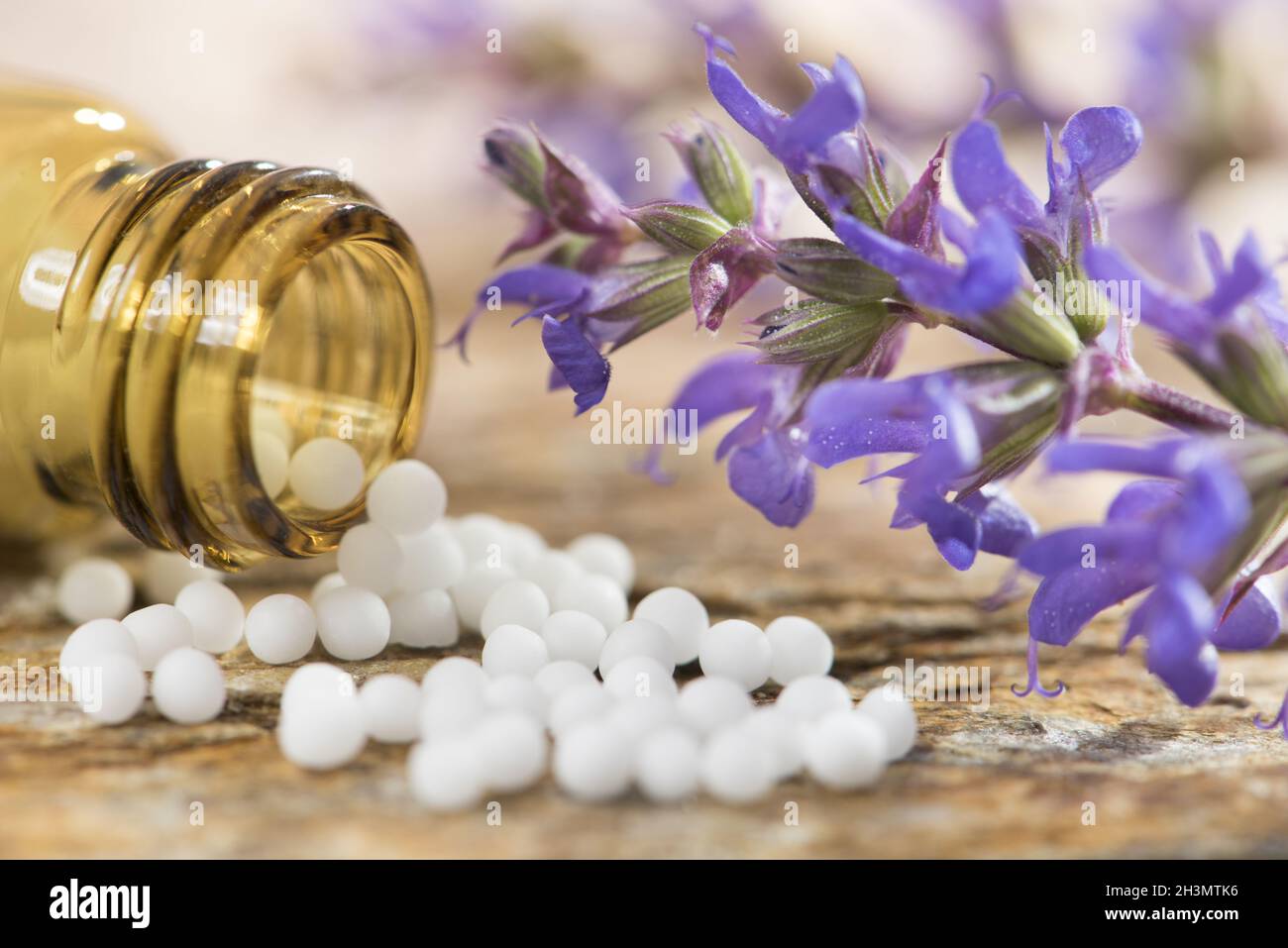Medicina alternativa con píldoras herbarias y homeopáticas Foto de stock