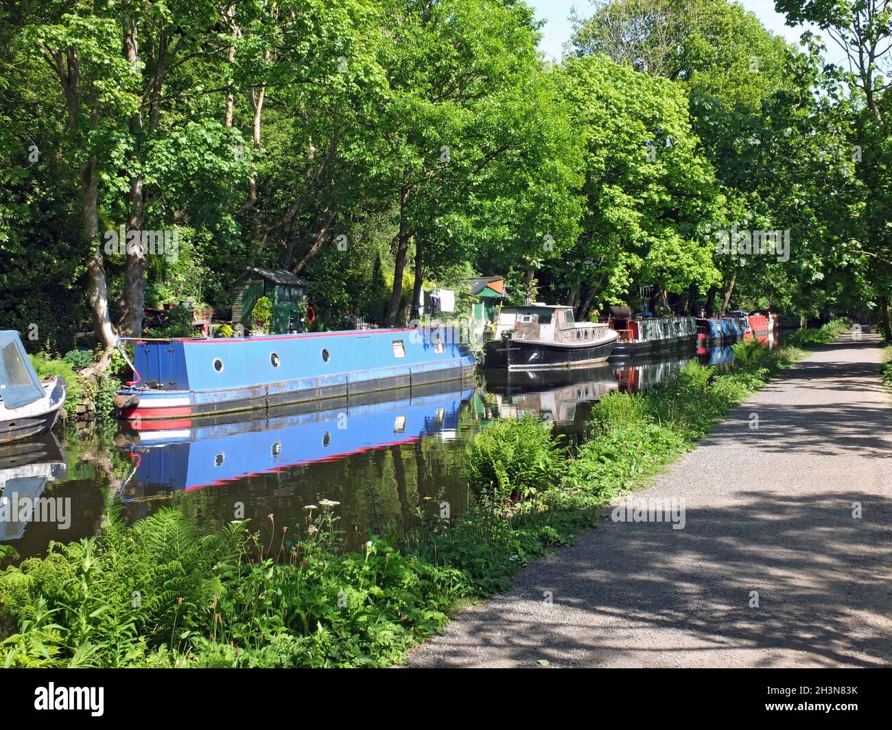 Barcos del canal amarrados frente al camino en el canal rochdale cerca del puente hebden rodeado de árboles bajo la luz del sol en verano Foto de stock