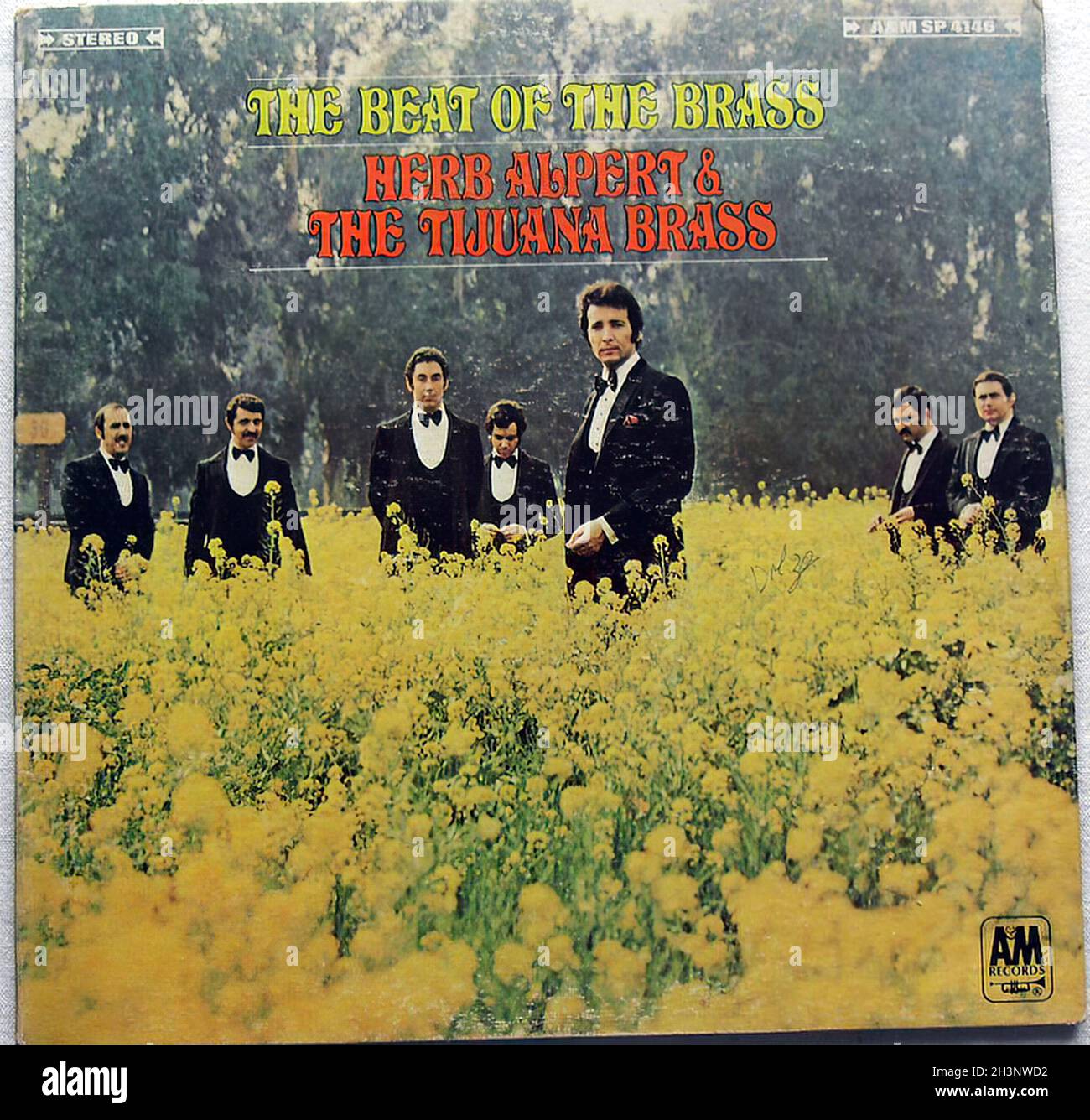 1960s 1970s Herb Alpert and the Tijuana Brass Original Vintage Vinyl Record Album LP Sleeve Beat