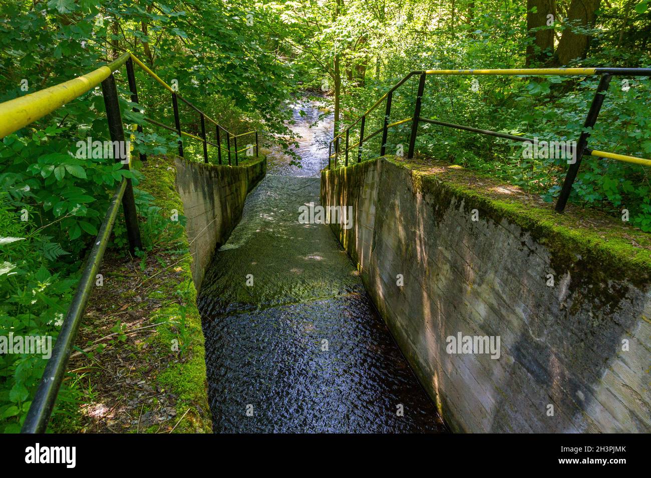 Desbordamiento Elbingstalteich Harz Selketal Foto de stock