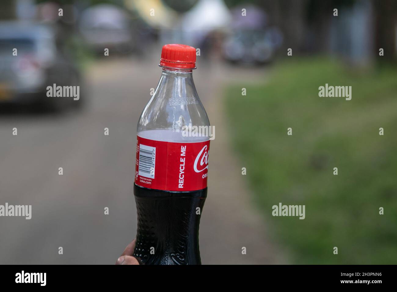 En esta ilustración de la foto se ve en la pantalla un refresco de  Coca-cola en una botella de plástico. Un promedio del 38% de los residuos  plásticos recolectados cerca del Parque