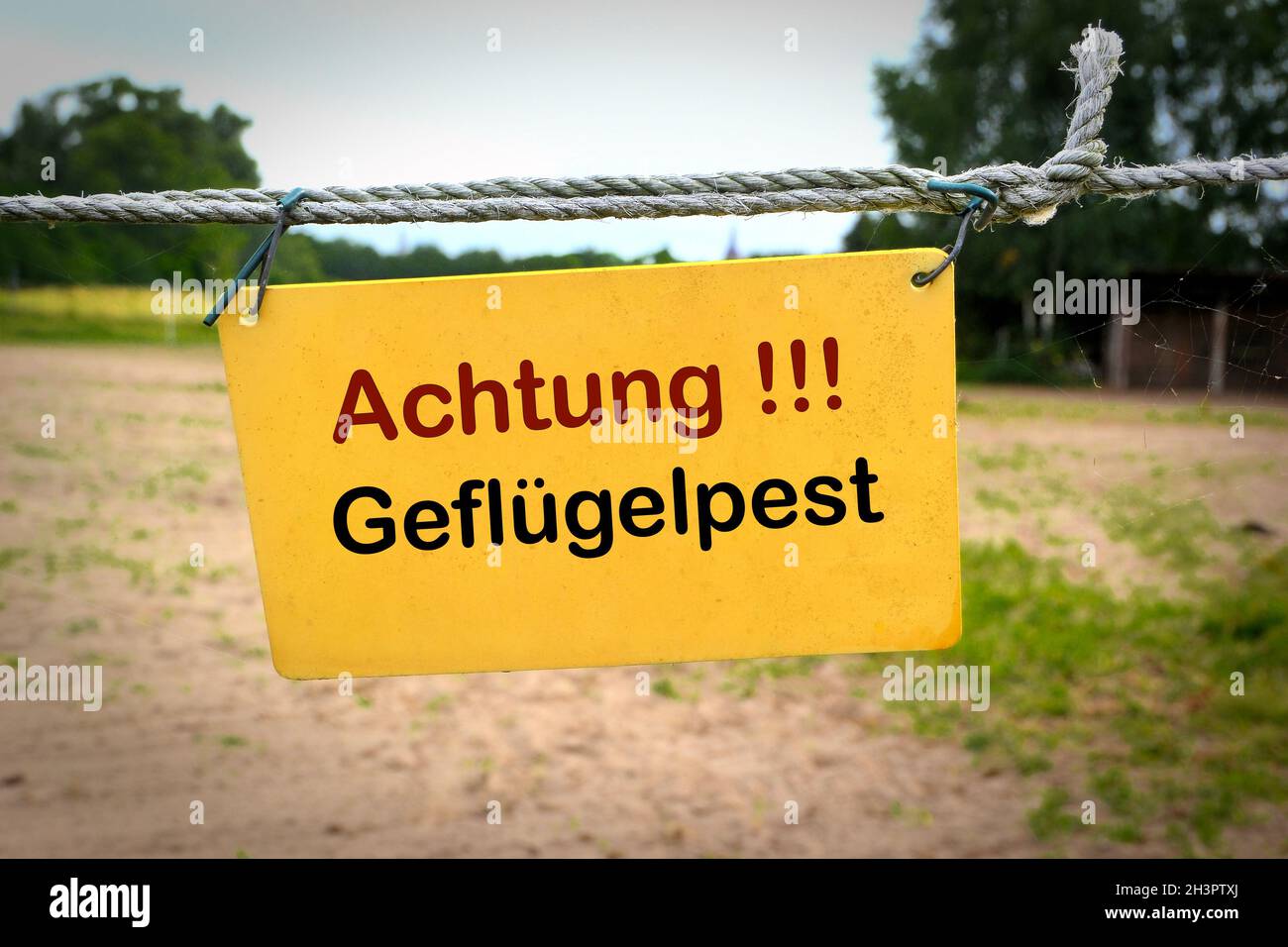 Letrero en la entrada de una granja en Alemania con la inscripción Atención gripe aviar Foto de stock