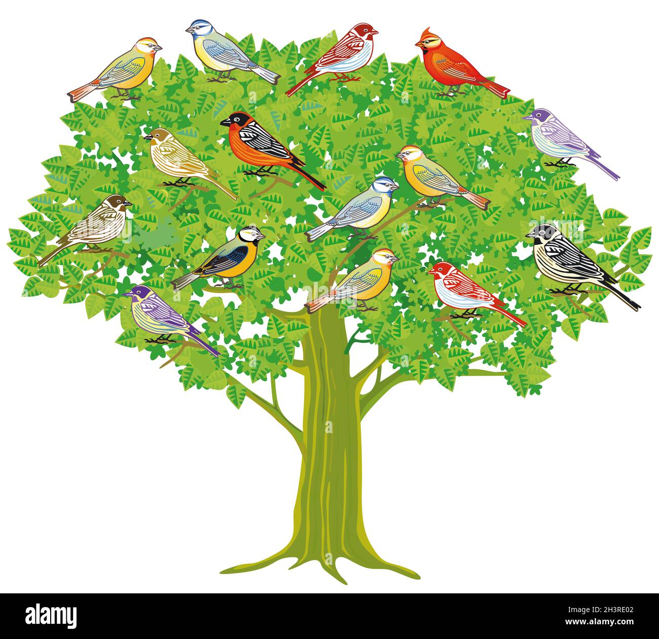 Un grupo de pájaros cantores en un árbol Foto de stock