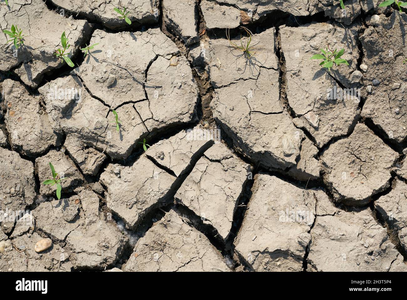 Tierra reseca debido al calentamiento climático en un campo Foto de stock