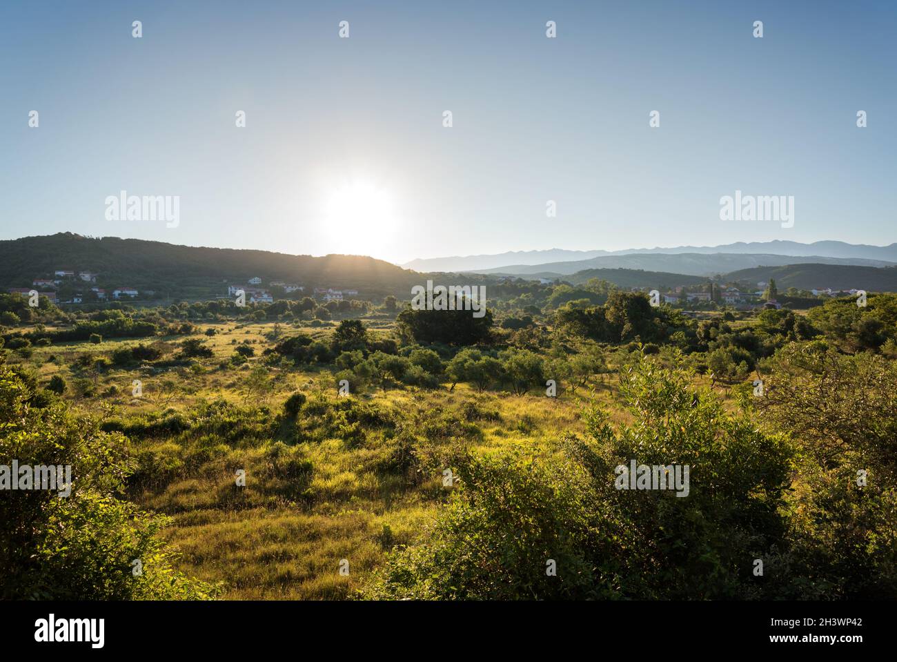 Vegetación verde en Kampor en la isla de Rab Croacia al amanecer Foto de stock