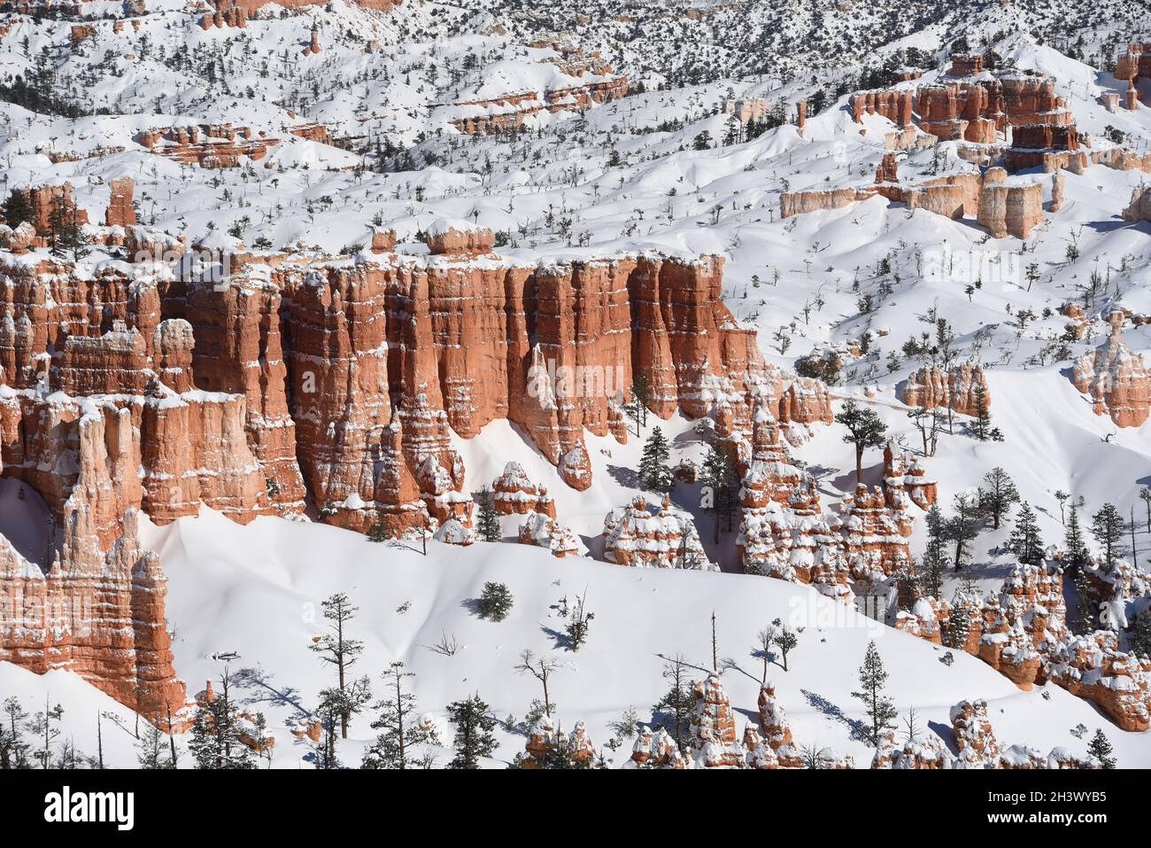 Panorama de los Hoodoos rojos cubiertos de nieve en el país de las maravillas de invierno del Parque Nacional Bryce Canyon, Utah, Estados Unidos. Observe el formato de fotograma completo grande. Foto de stock
