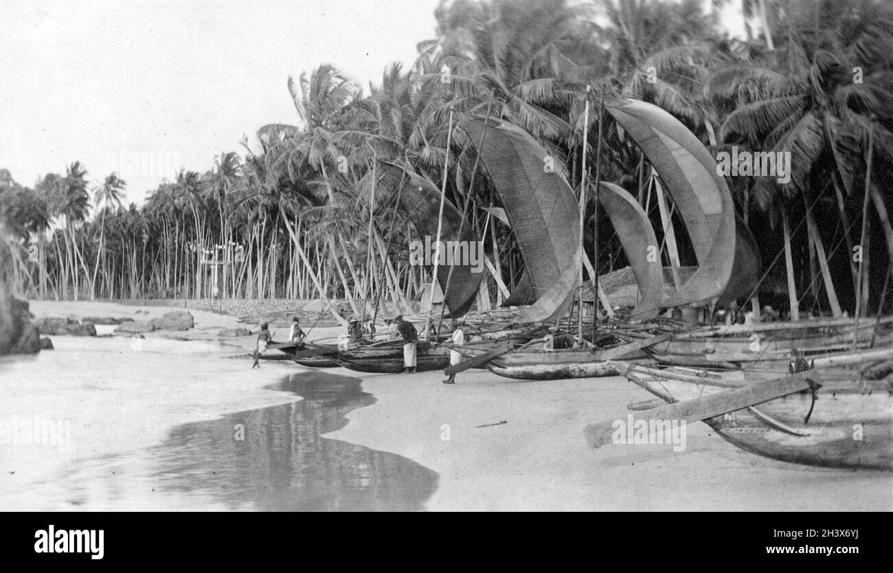 Una línea de barcos con velas en una playa en el Monte Lavinia, Sri Lanka, rodeada de palmeras, 1909 Foto de stock