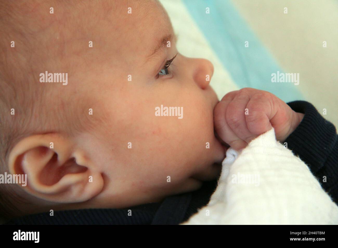 La imagen del retrato del bebé chupando las manos. Explorar su cuerpo, desarrollar sus sentidos o ayudar a los dientes a crecer. Foto de stock