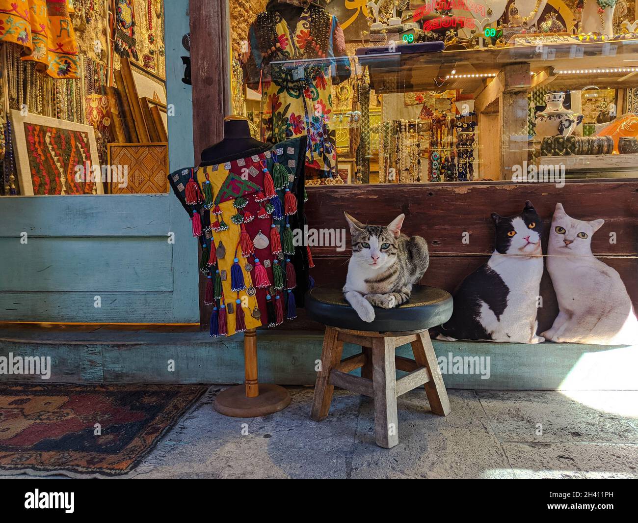 ESTAMBUL, TURQUÍA - 9 DE AGOSTO de 2021: Gato callejero parado en una silla  de época en la entrada de una tienda de ropa y accesorios de joyería en el  Gran Bazaa