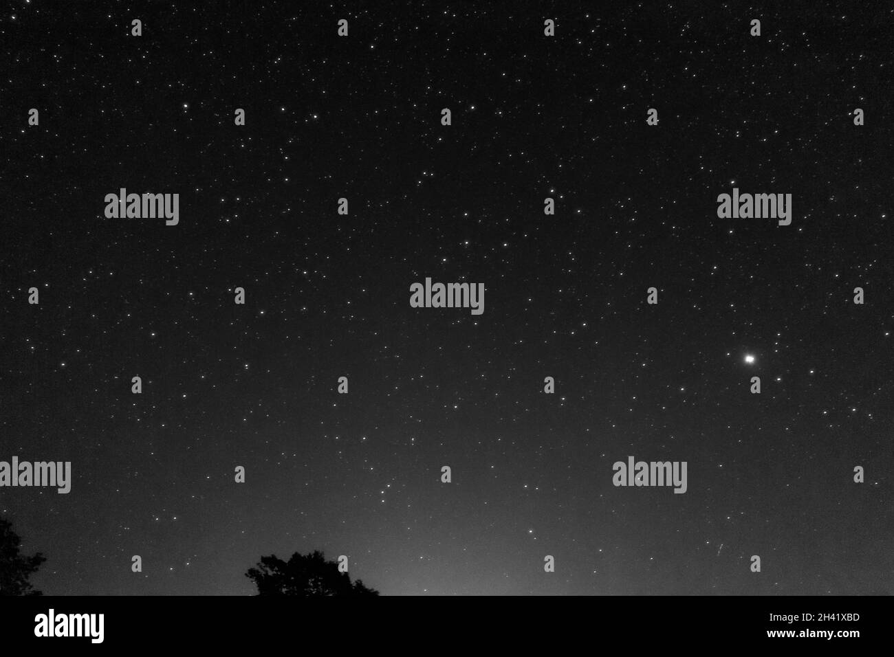 Vista de las estrellas del cielo nocturno en Austria Foto de stock