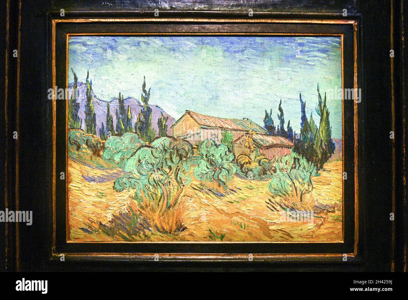 Cabanes de bois parmi les oliviers et cypres fotografías e imágenes de alta resolución Alamy