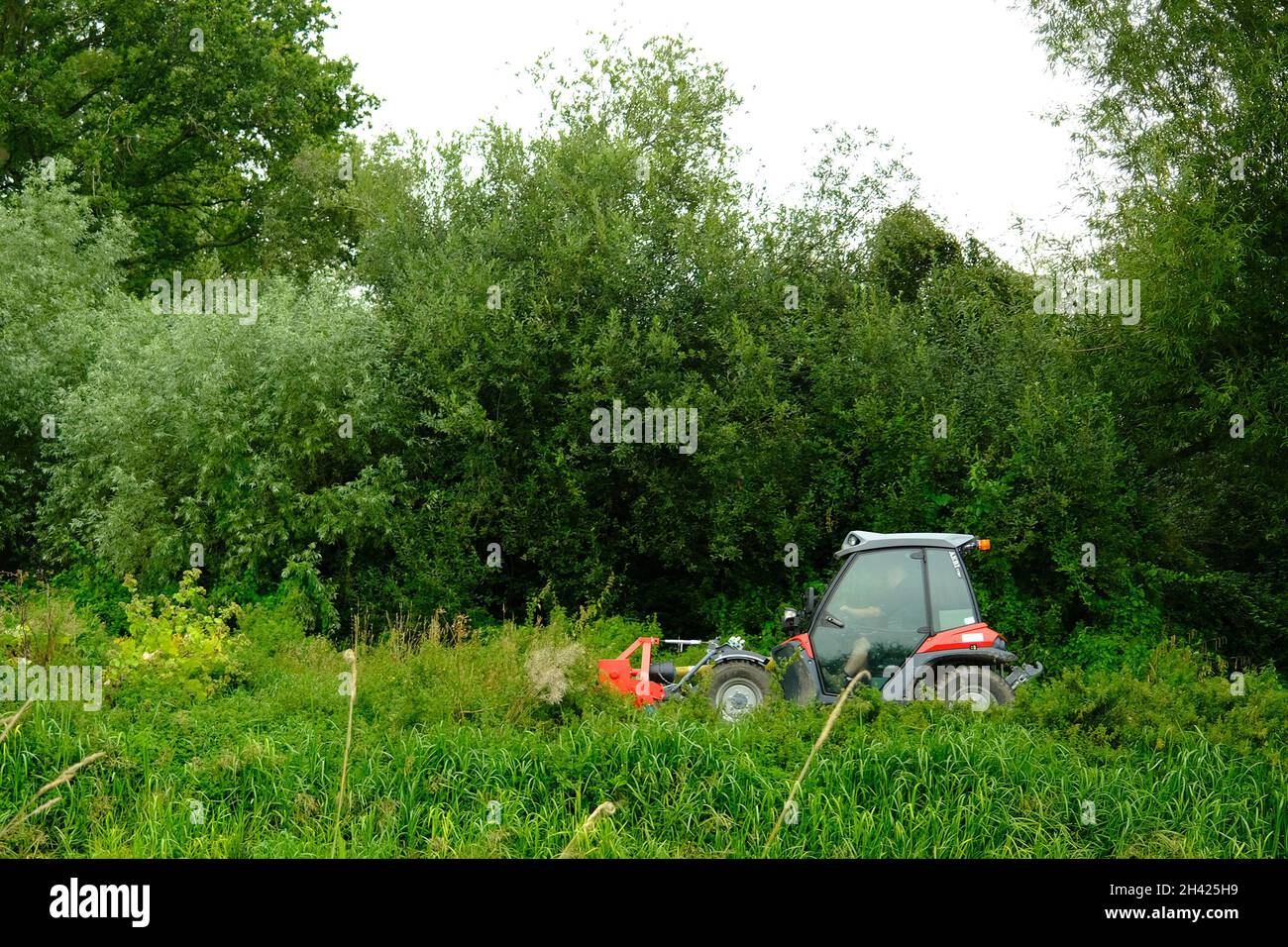 Octubre 2021 - cortacésped de corte de hierba y arbustos que despeje una pista de cultivo excesivo en Shapwick, en Somerset rural cerca de Glastonbury Foto de stock