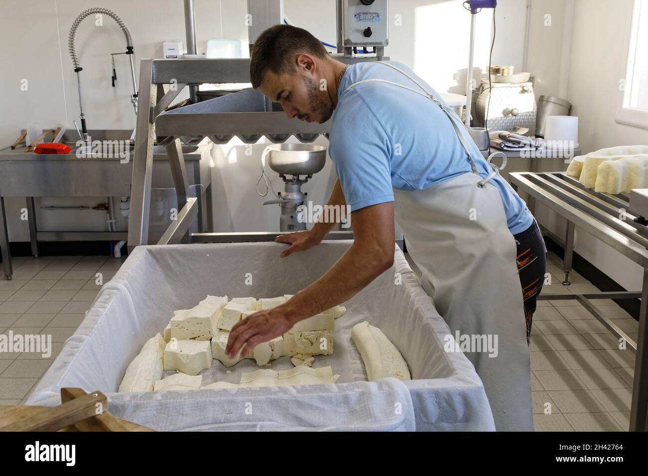 St Etienne-du-Monteil, Francia. 27th Jul, 2021.Producción de queso de tradición Salers con leche de vacas de raza Salers en la granja Galvaing. Foto de stock