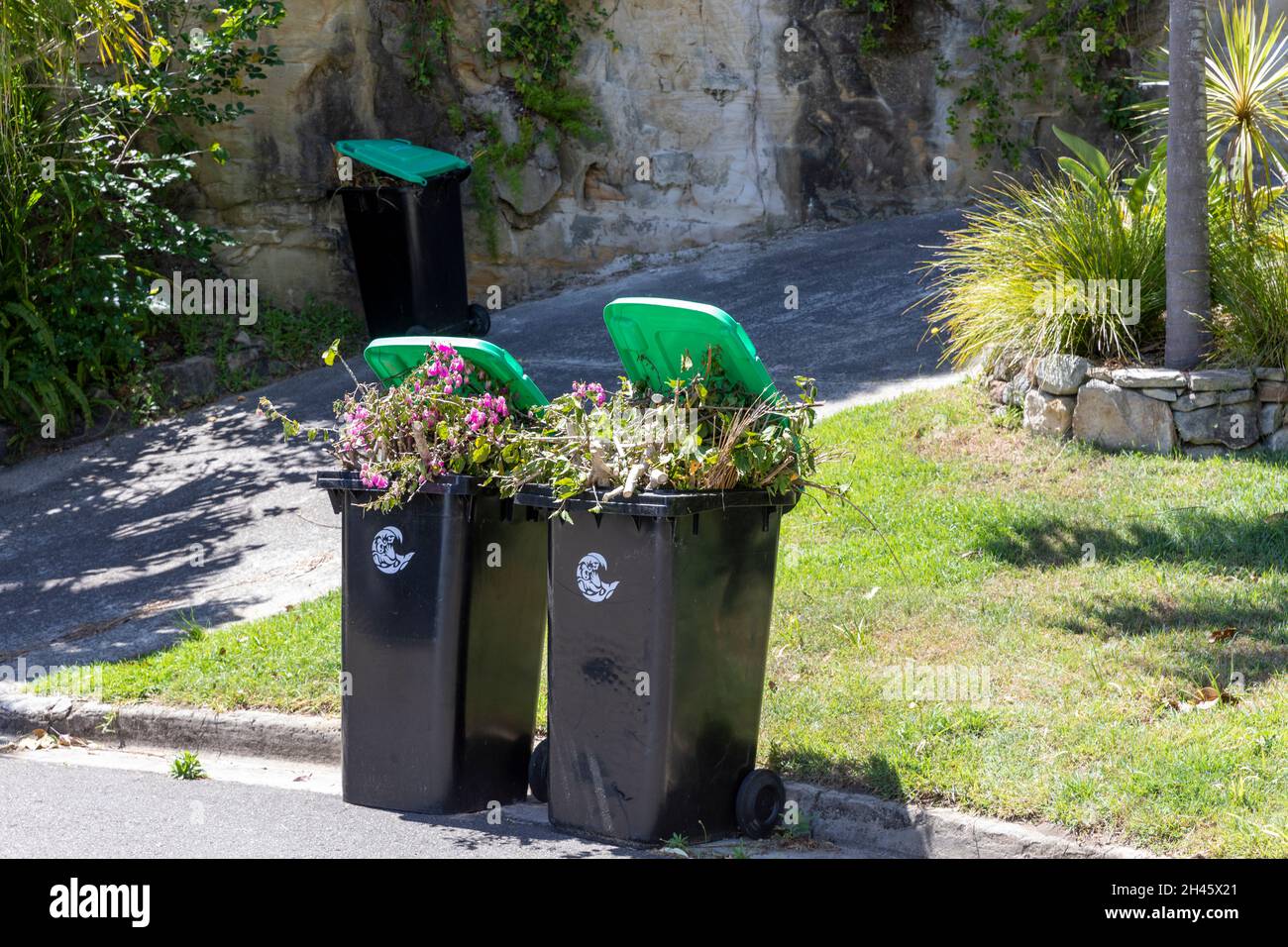 Par de contenedores de residuos de jardines verdes destinados a la recogida y reciclaje del consejo,Sydney,Australia Foto de stock