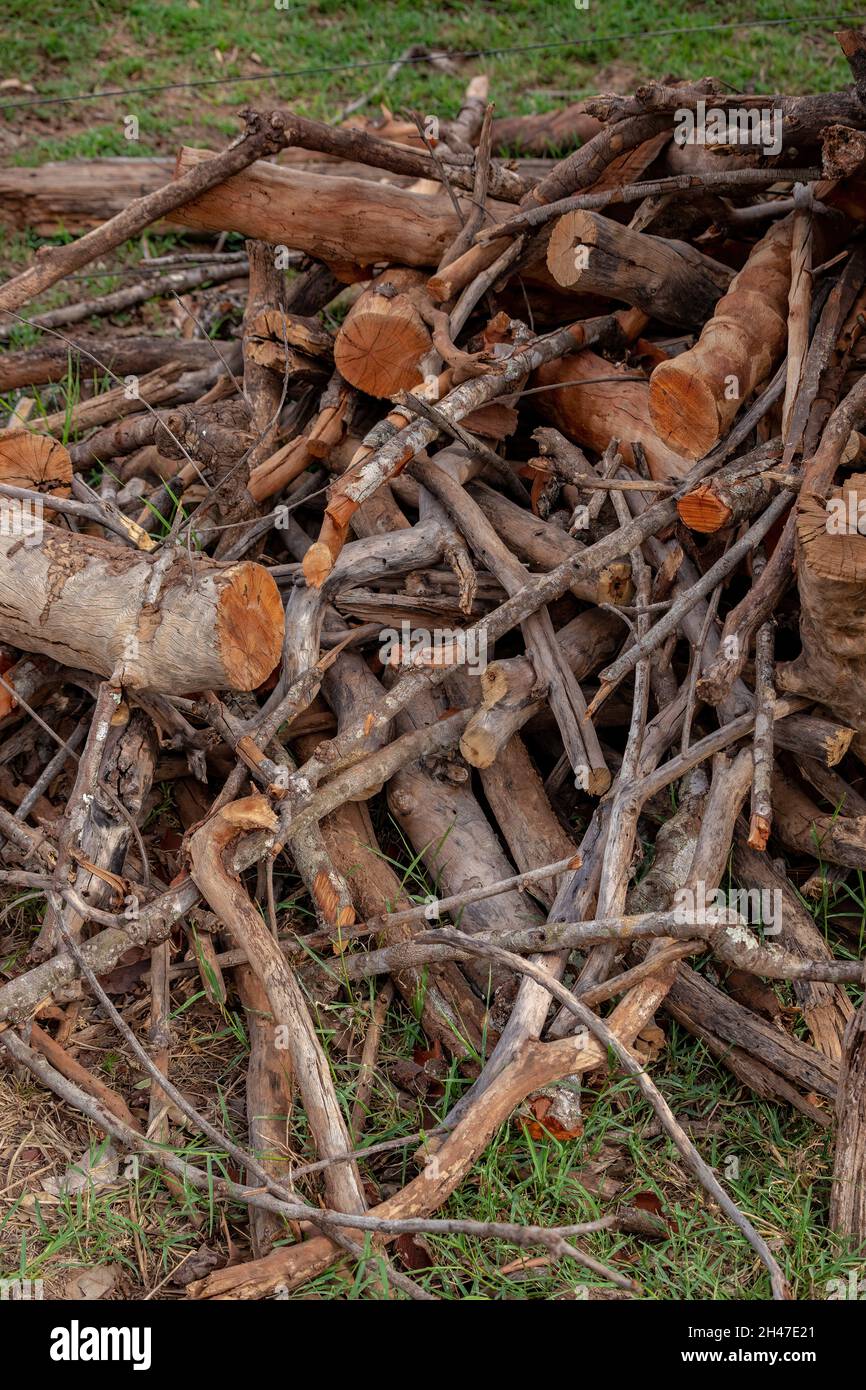 Muchas ramas para secar y convertir madera para estufa de madera Foto de stock