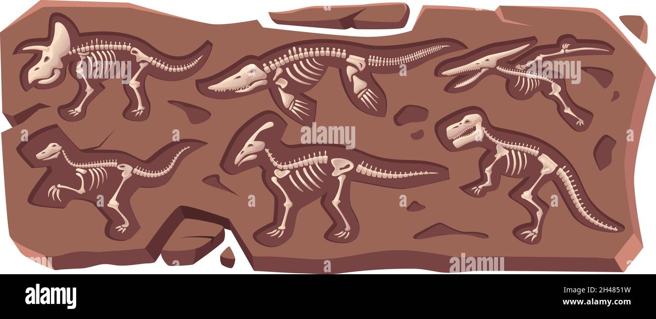 Esqueleto enterrado. Dinosaurio antiguo reptil marino fosilizado en roca  viejos huesos exacta vector de la colección de dibujos animados Imagen  Vector de stock - Alamy