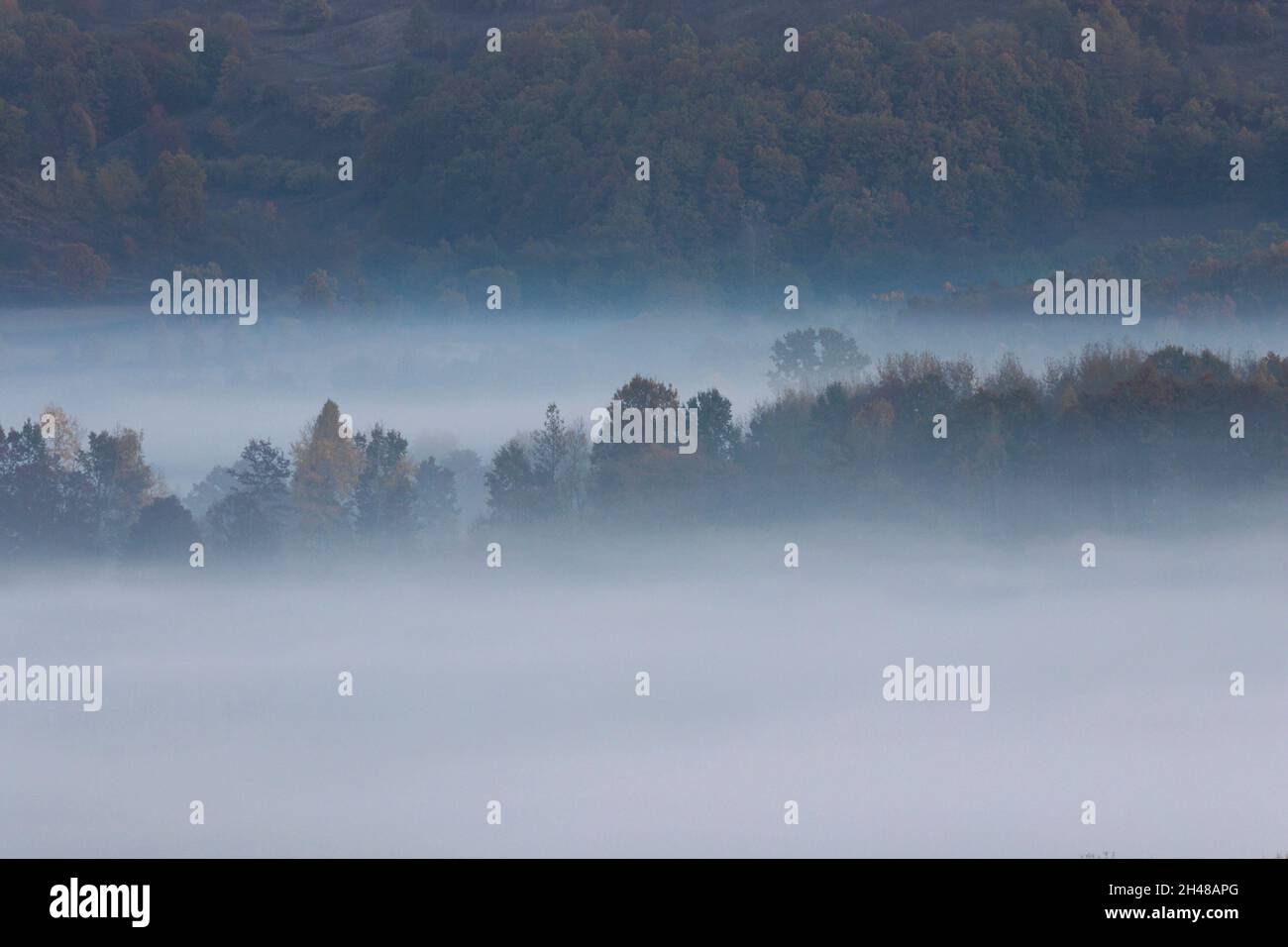 Niebla matutina sobre los bosques y colinas de Transilvania, hermosos paisajes de Rumanía Foto de stock