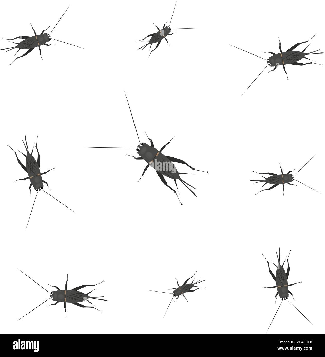 Grillos negros, ilustración, vector sobre fondo blanco Imagen Vector de