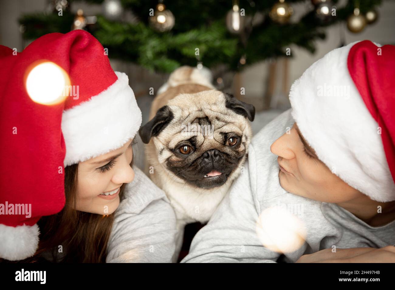 Joven hombre hermoso y mujer con un pug yacen junto al árbol de Navidad en sombreros de Santa y miren unos a otros Foto de stock