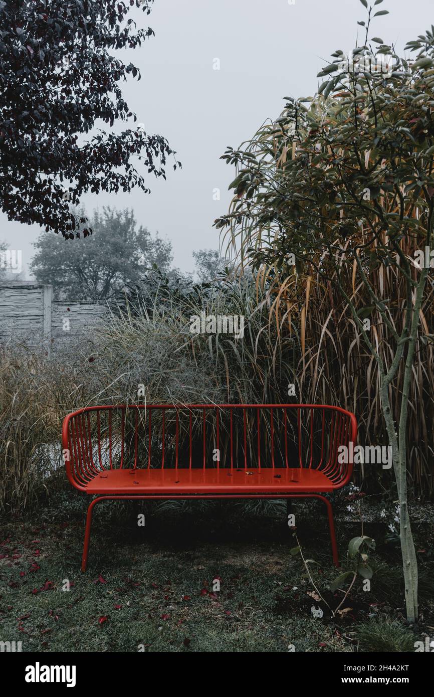Jardín todavía vida con banco de metal rojo durante la mañana brumosa de otoño Foto de stock