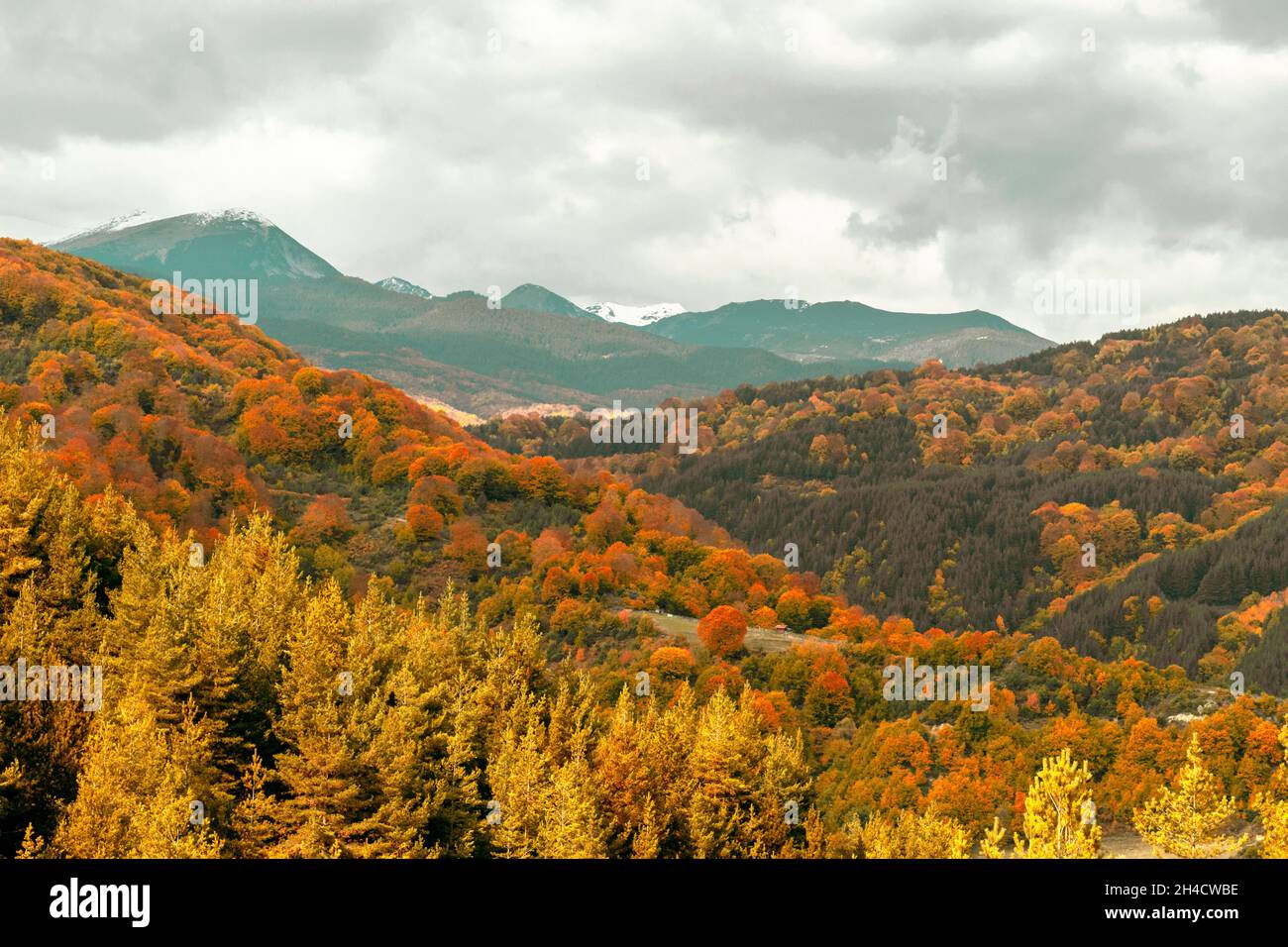 Foto de paisaje del Parque Nacional en la temporada de otoño. Foto de stock
