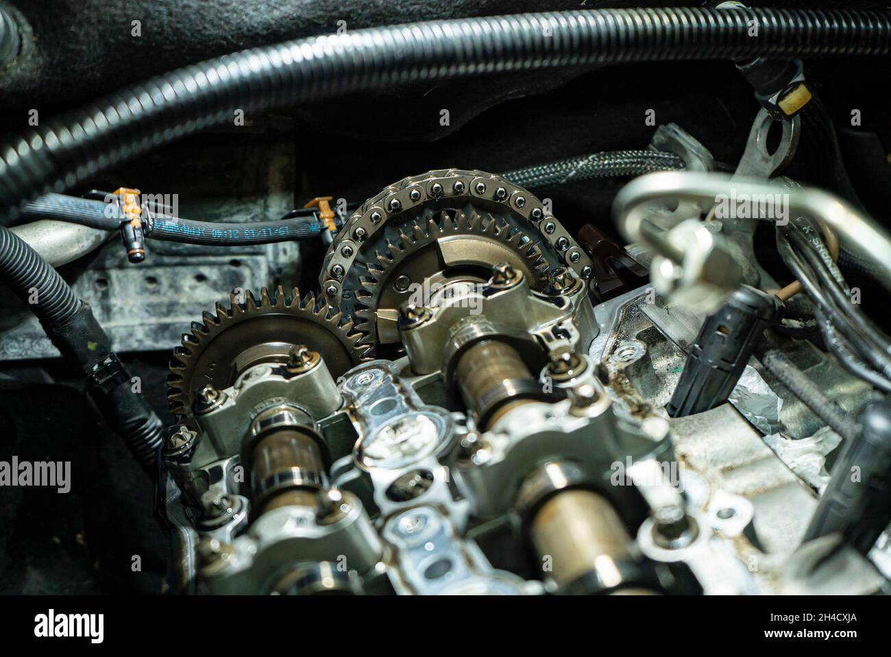 Detalle de la cadena de distribución del motor del coche desmontado mantenimiento de stock - Alamy