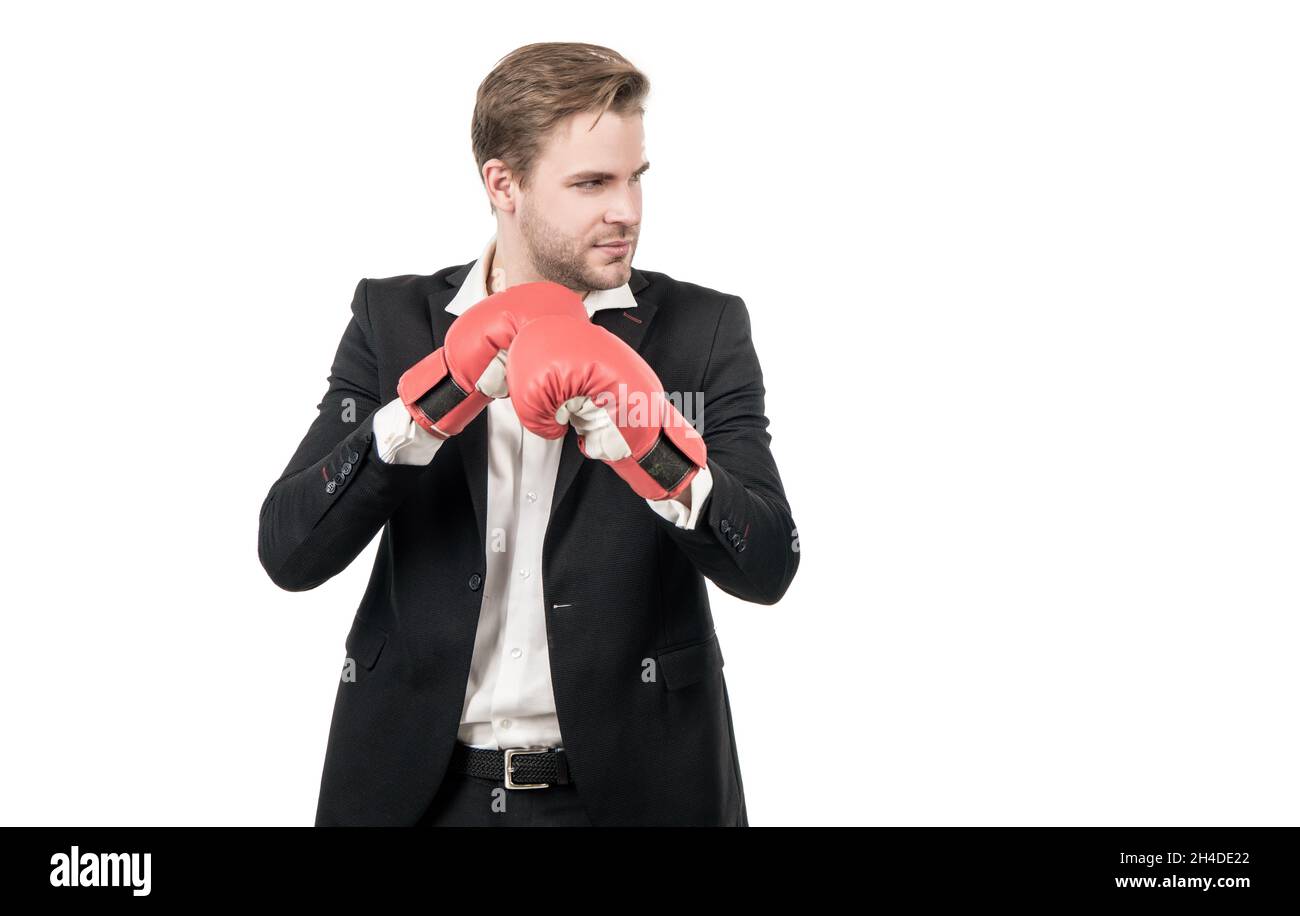 Hombre de negocios serio llevar traje formal y boxeo guantes de lucha, lucha Foto de stock