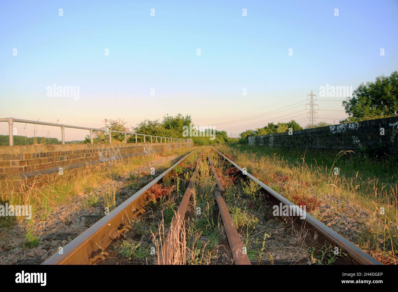Vías de tren abandonadas en el campo Foto de stock