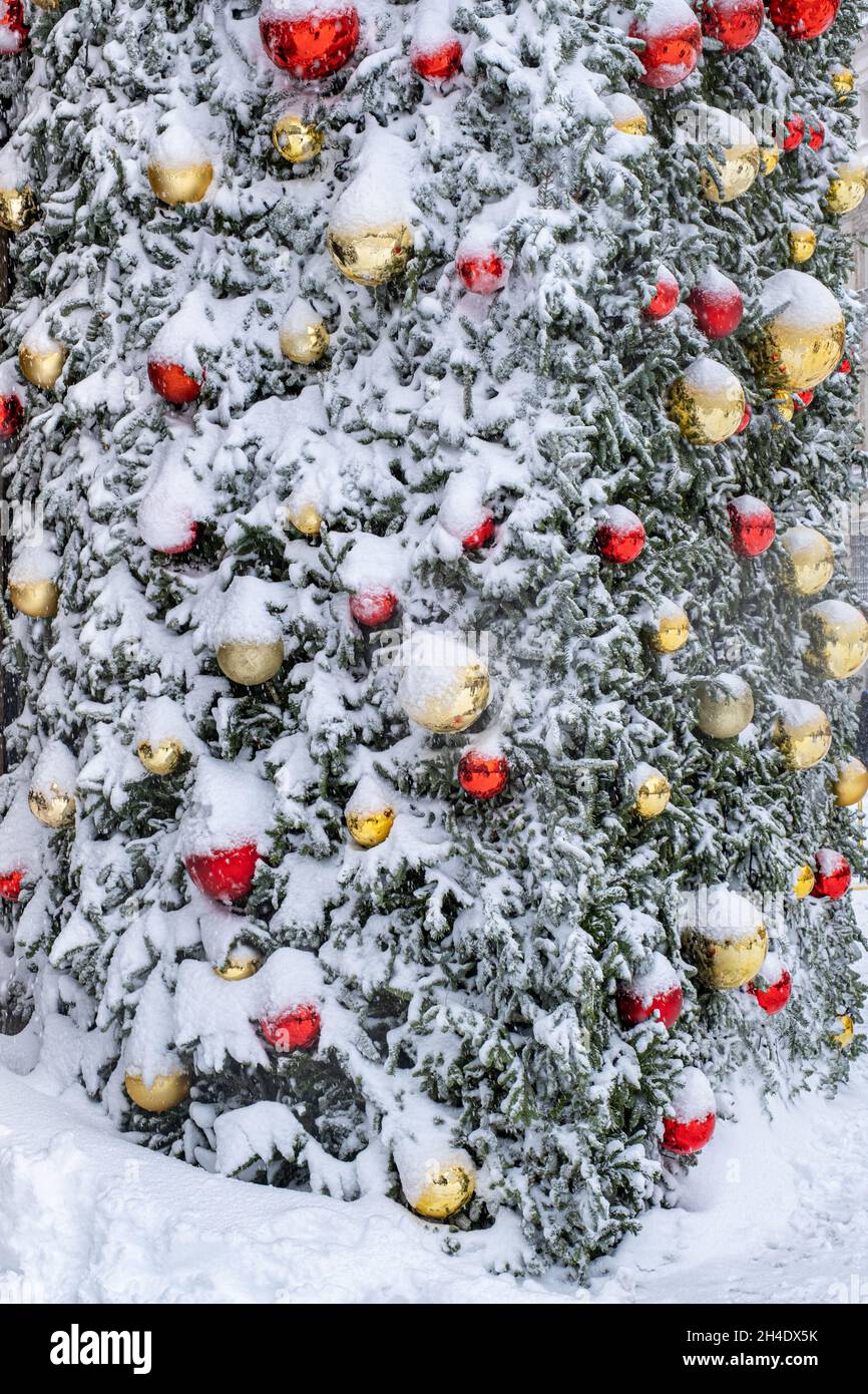 Árbol de navidad nevado decorado con baubl dorado y rojo de Navidad  Fotografía de stock - Alamy