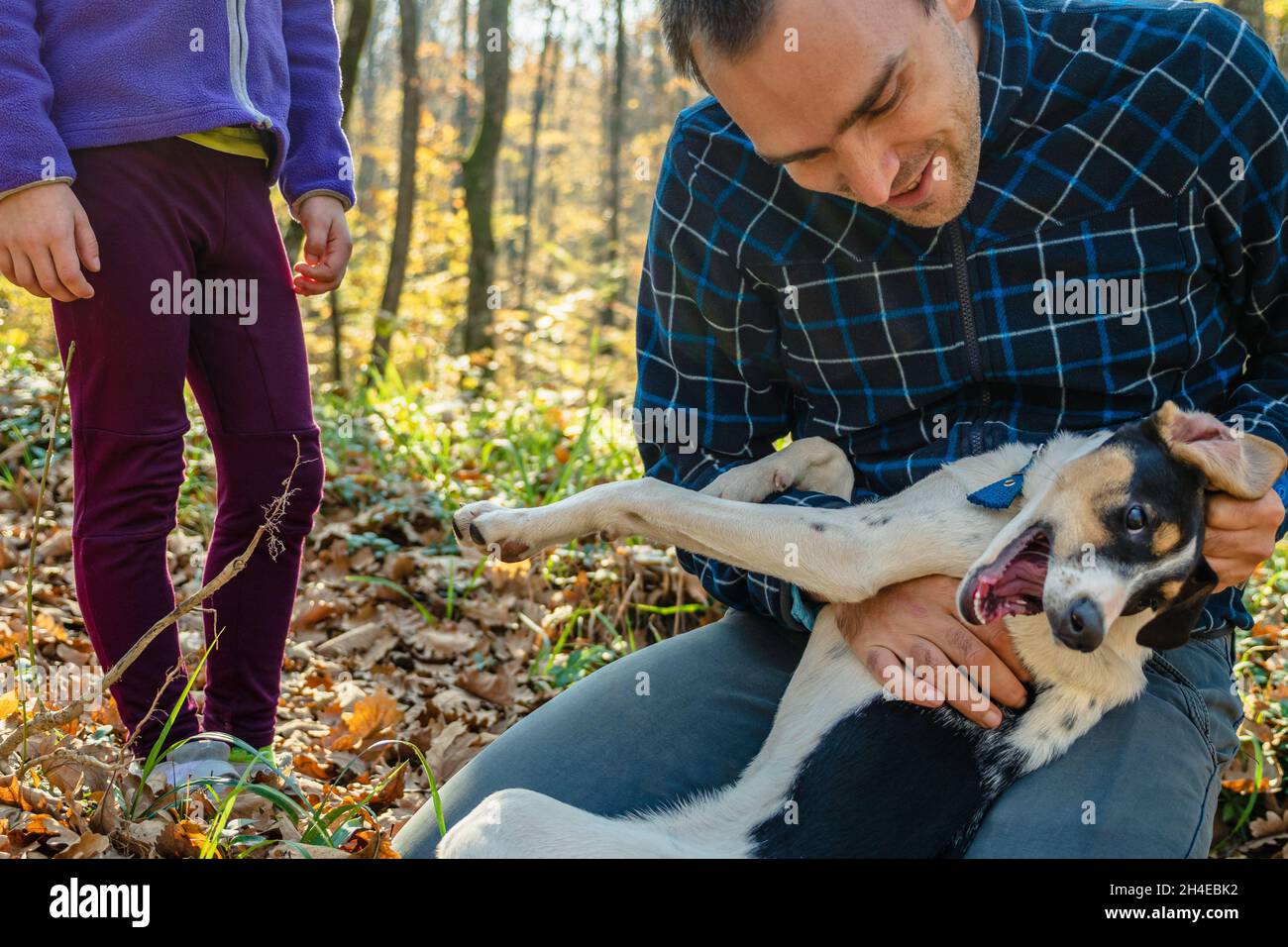 Un hombre en cuadros juega con un perro joven que miente en su regazo.  Primer plano. Un niño está de pie al lado de él. El concepto de amor y  cuidado de