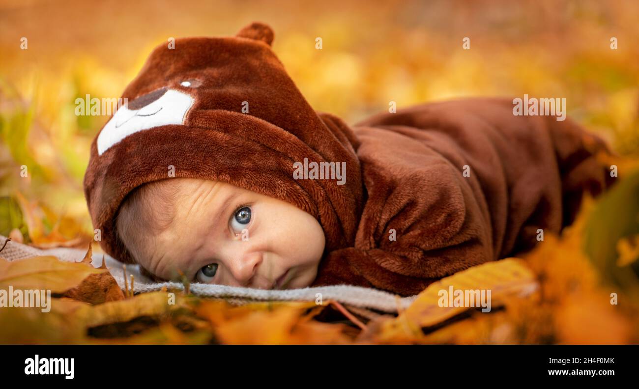 Hoja Recien Nacida Fotos E Imagenes De Stock Alamy