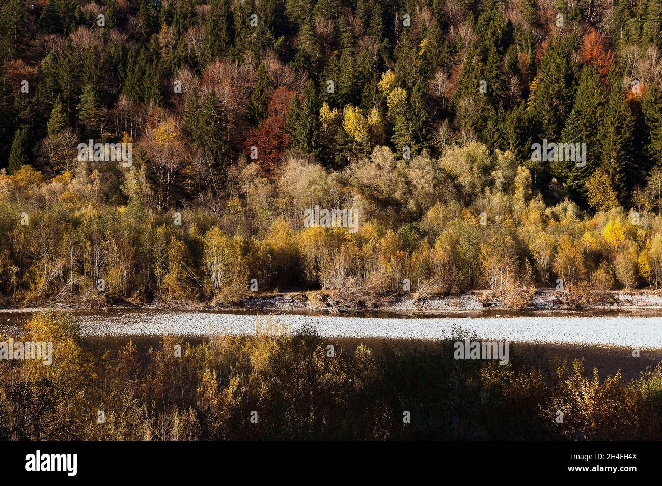 Finales de otoño Colores de un bosque de planicie inundable cerca del río Lech Foto de stock