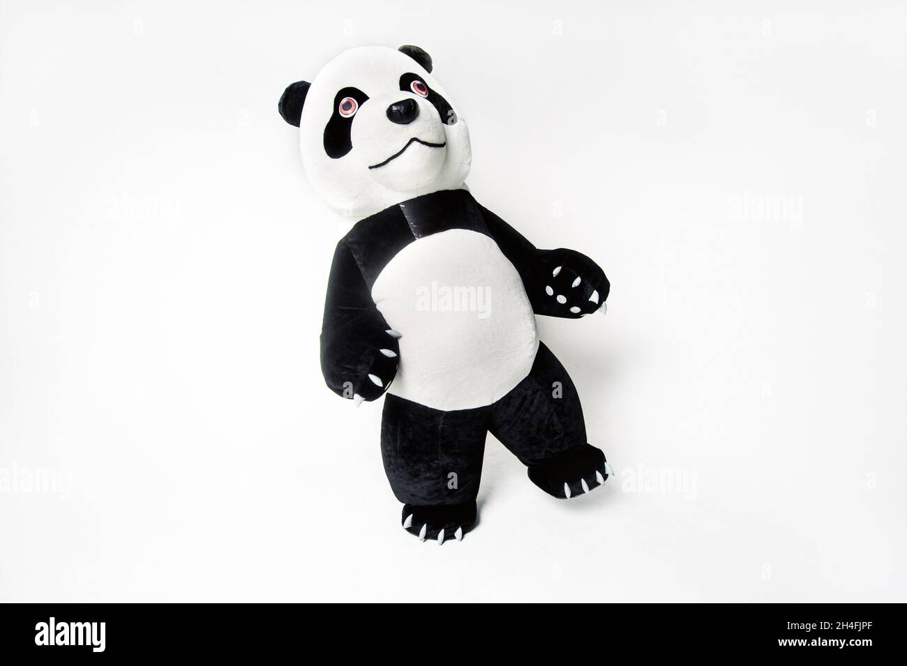 muñeca panda de tamaño natural con un hombre dentro sobre un fondo blanco  aislado Fotografía de stock - Alamy