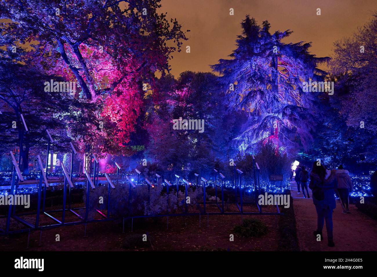 Madrid. España. 20211102, la gente disfruta del espectáculo de luces  “Naturaleza Encendida” Exposición inaugural en el Real Jardín Botánico el 2  de noviembre de 2021 en Madrid, España Jardín Botánico Inaugura la