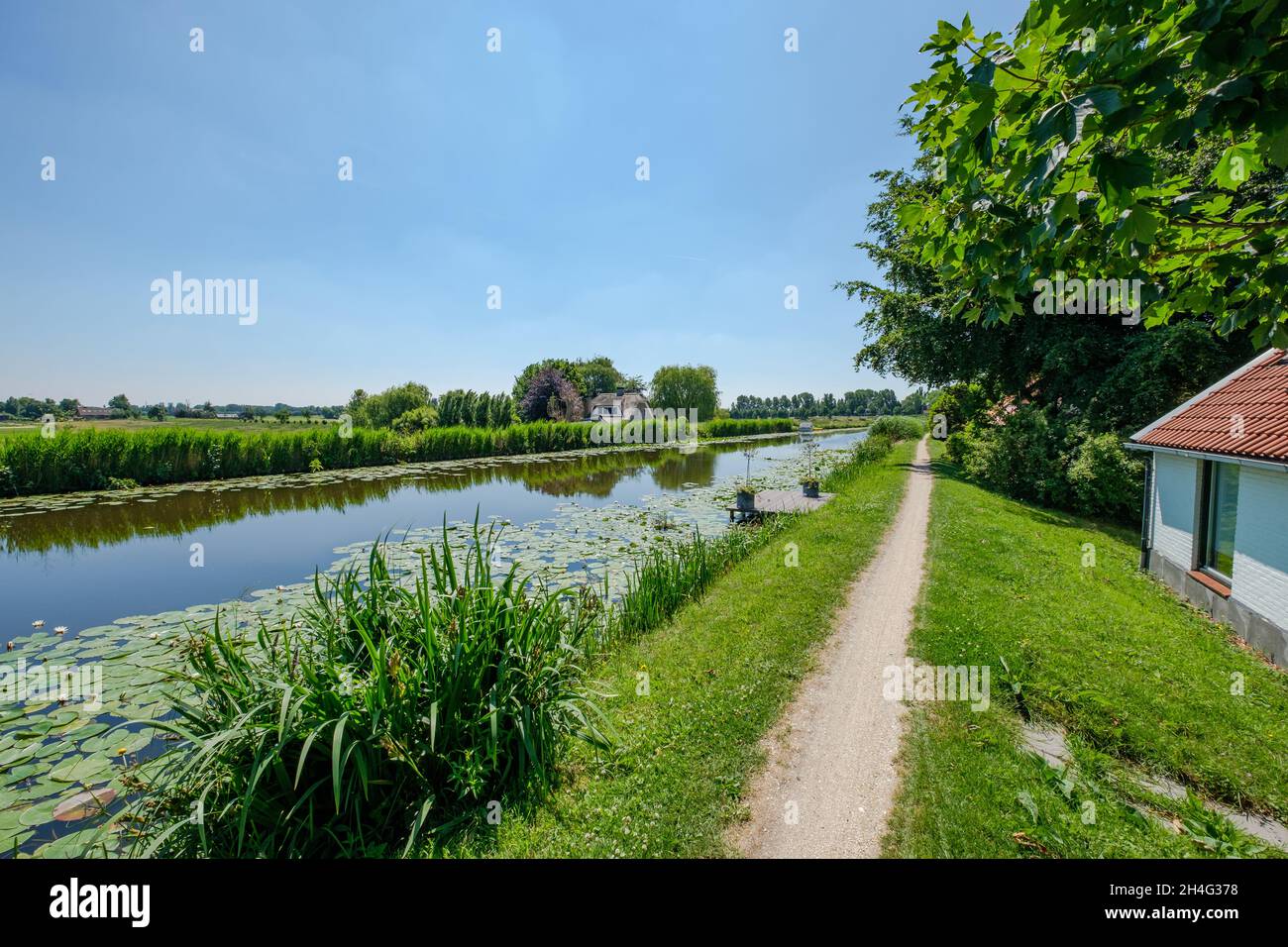 Paisaje de canal de pólder cerca de Rotterdam, Holanda Foto de stock