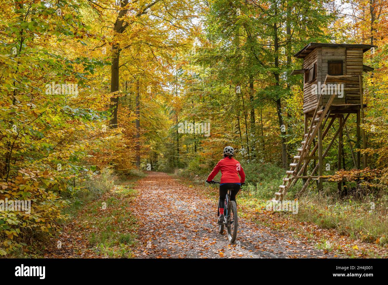 bonita mujer mayor ridin su bicicleta eléctrica en un colorido bosque de otoño con follaje dorado Foto de stock