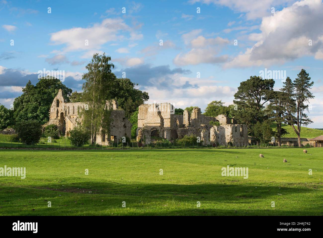 Ruinas de la abadía, ver en verano las ruinas atmosféricas de un monasterio cisterciense del siglo 12th (Jervaulx Abbey), North Yorkshire, Inglaterra, Reino Unido Foto de stock