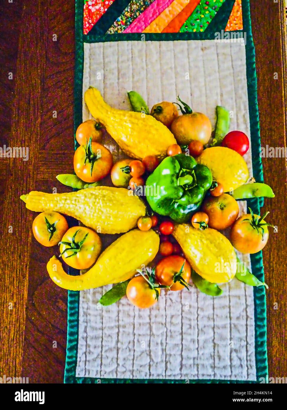 Cosecha de jardín. Verduras cultivadas en casa. Calabaza de cuello de crookneck, (Cucurbita pepo), pimiento verde (Capsicum annuum), tomates (Solanum lycopersicum) y. Foto de stock