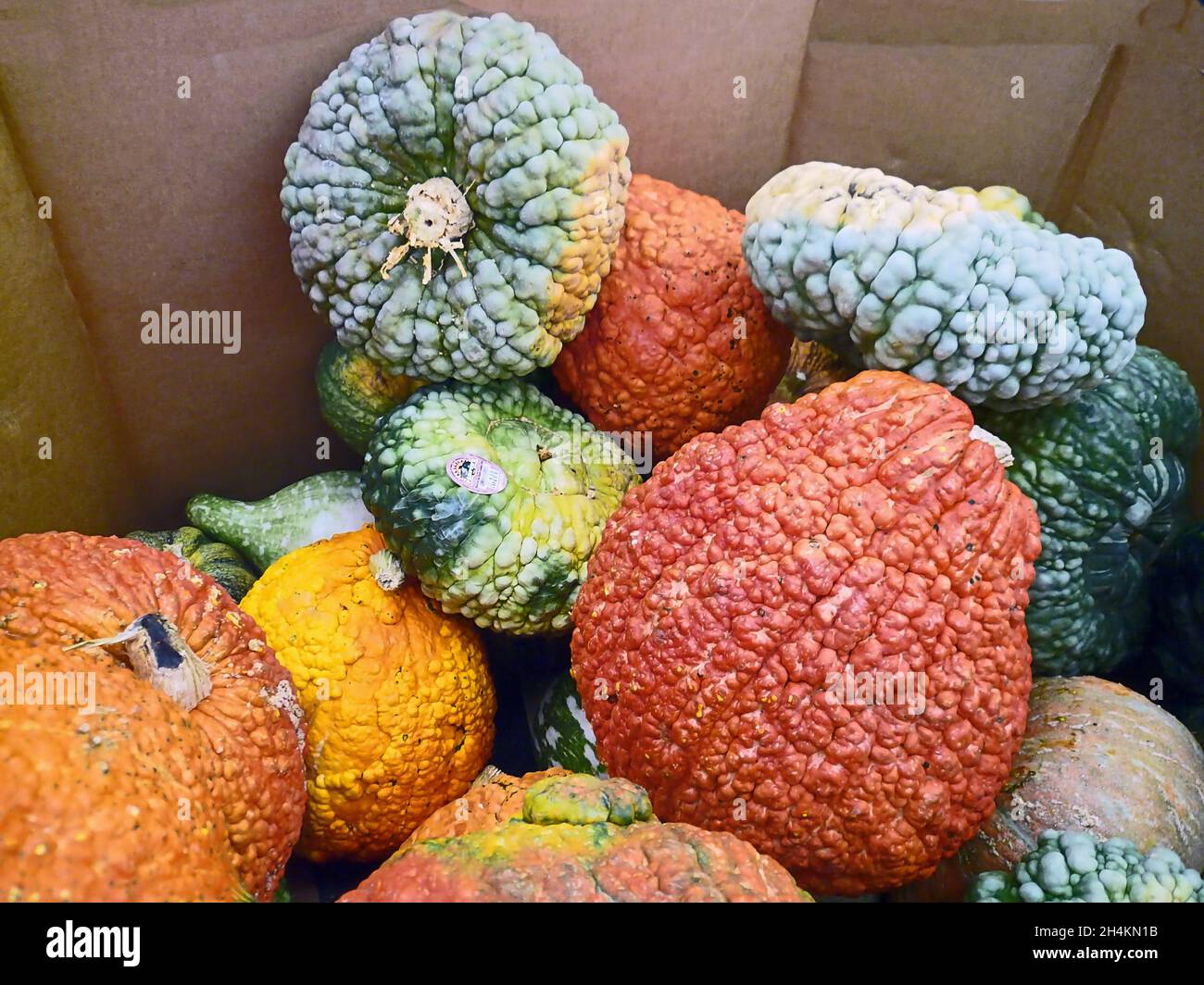 Frutas de cáscara dura fotografías e imágenes de alta resolución - Alamy