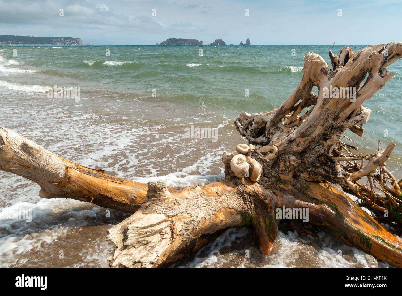 Playa de L Estartit para perros en Girona Costa Brava España Islas Medes en  el fondo Fotografía de stock - Alamy