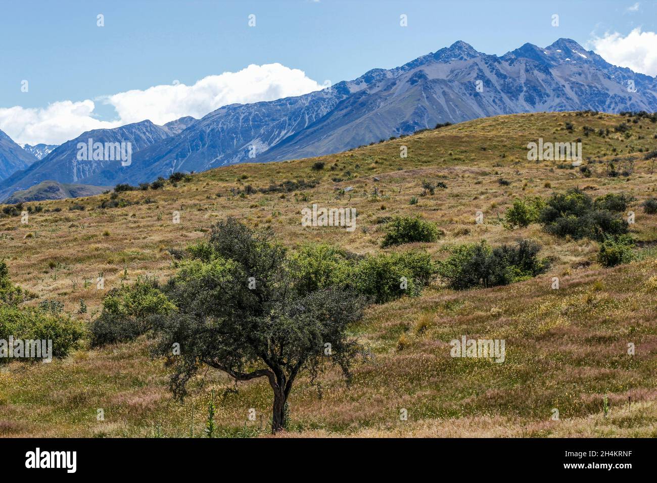 Alpes del Sur y panorama del paisaje adyacente al Monte Domingo. El Monte Domingo fue usado como lugar de ubicación para Edoras en el Señor de los Anillos Foto de stock