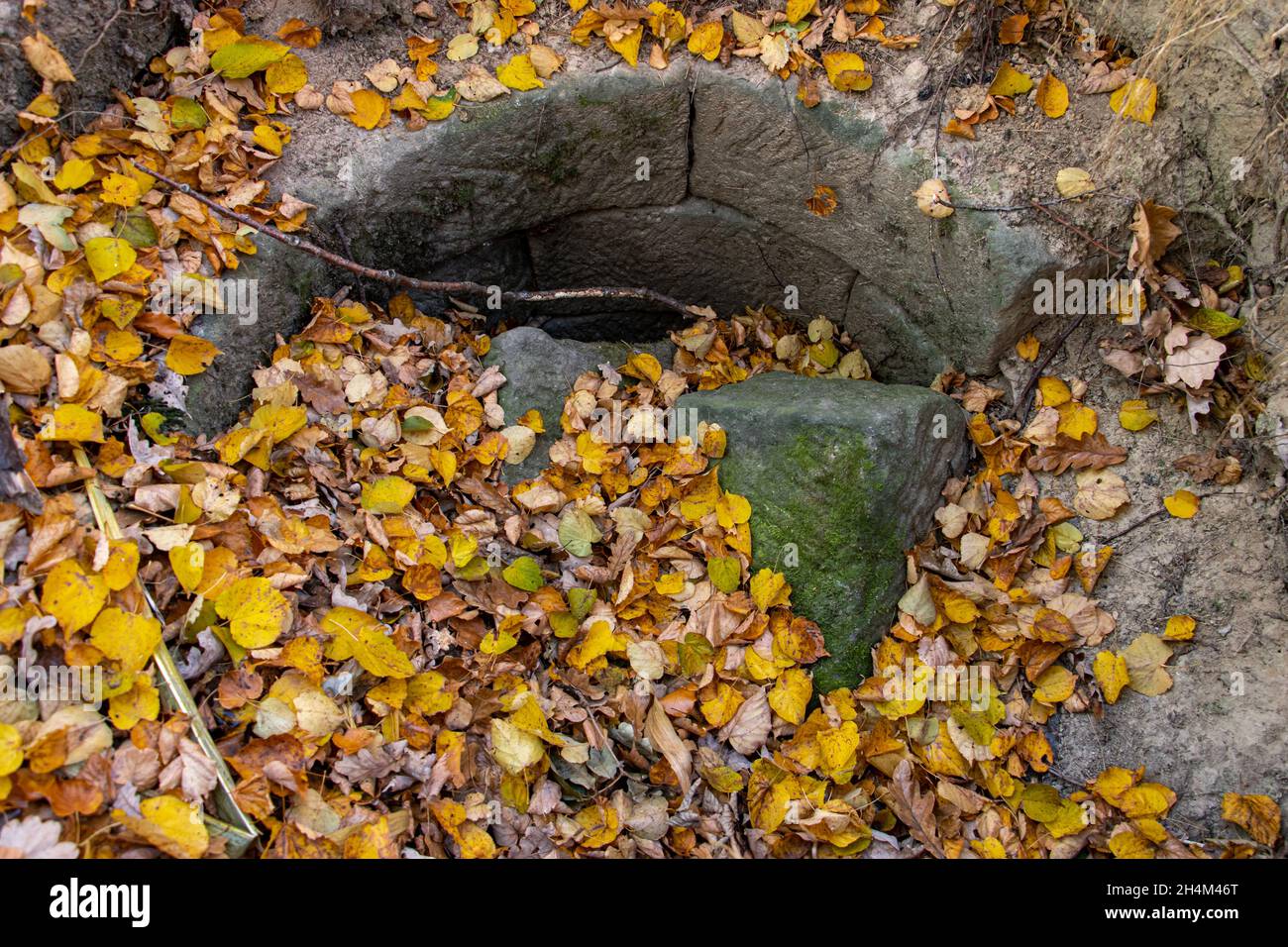 Un viejo pozo con una pared de piedras dañadas está cubierto de hojas de otoño Foto de stock